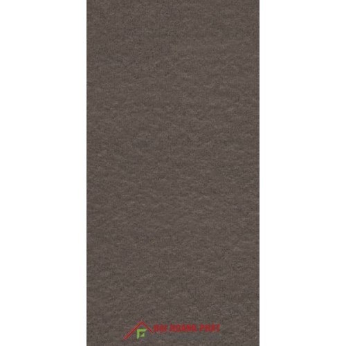 TAICERA 60x30cm G63521