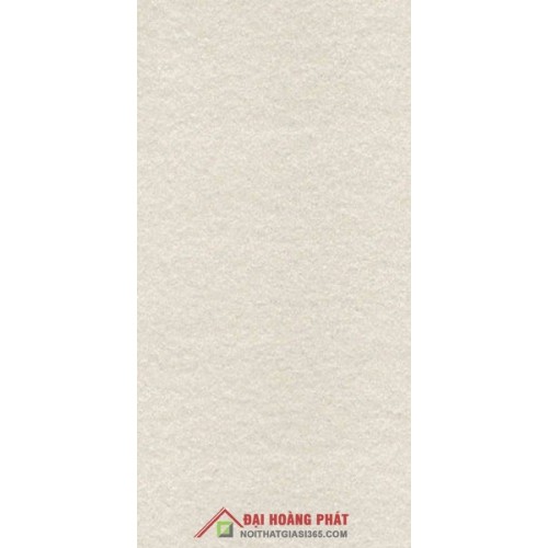 TAICERA 60x30cm G63525