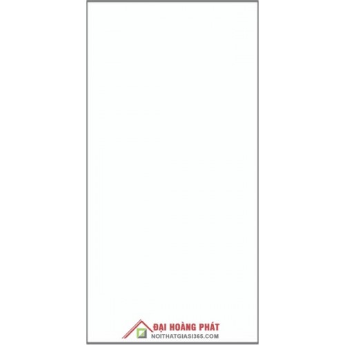 Bóng kiếng TP TAICERA 60x30cm GP63035