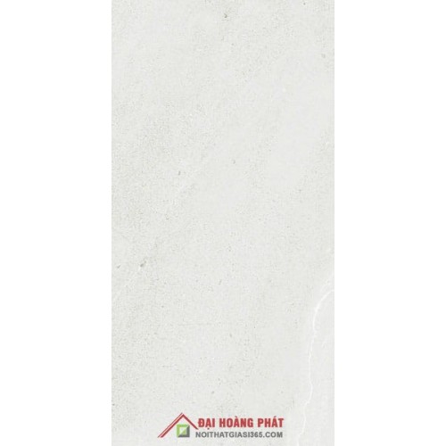 Bóng kiếng TP TAICERA 60x30cm GP63065