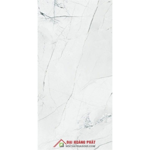 Bóng kiếng TP TAICERA 60x30cm GP63905