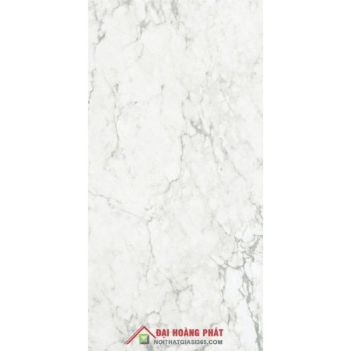 Bóng kiếng TP TAICERA 60x30cm GP63965