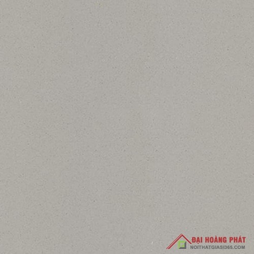 TAICERA 60x60cm G68001