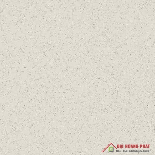 TAICERA 60x60cm G68005