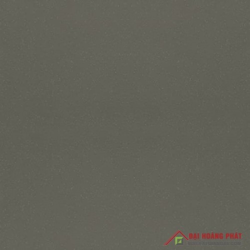 TAICERA 60x60cm G68008 TAICERA 60x60cm G68008