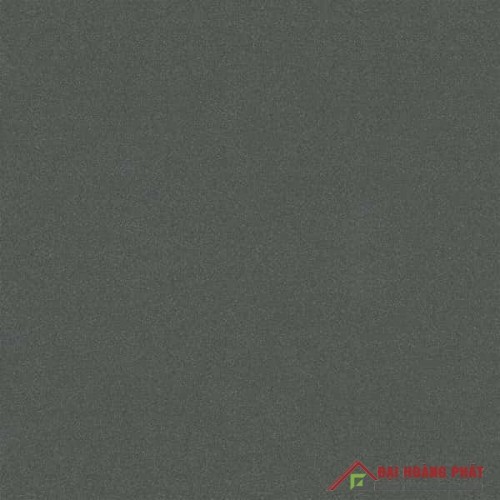 TAICERA 60x60cm G68029