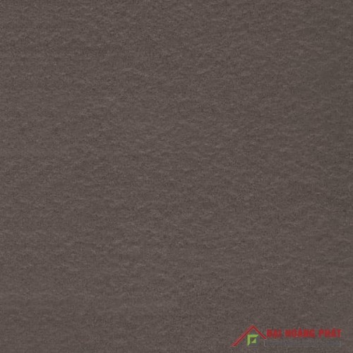 TAICERA 60x60cm G68521 TAICERA 60x60cm G68521