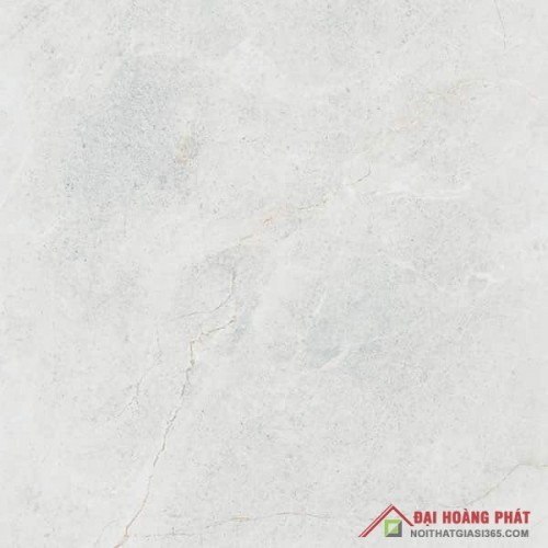 Bóng kiếng TP TAICERA 60x60cm GP68845 Bóng kiếng TP TAICERA 60x60cm GP68845