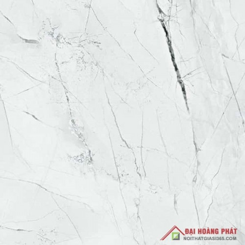 Bóng kiếng TP TAICERA 60x60cm GP68905