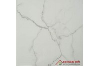 Bóng kiếng TP TAICERA 60x60cm GP68945