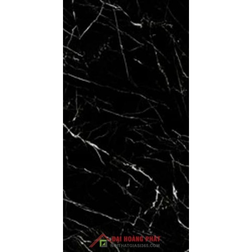 TAICERA 0,6x1,2m GP12909